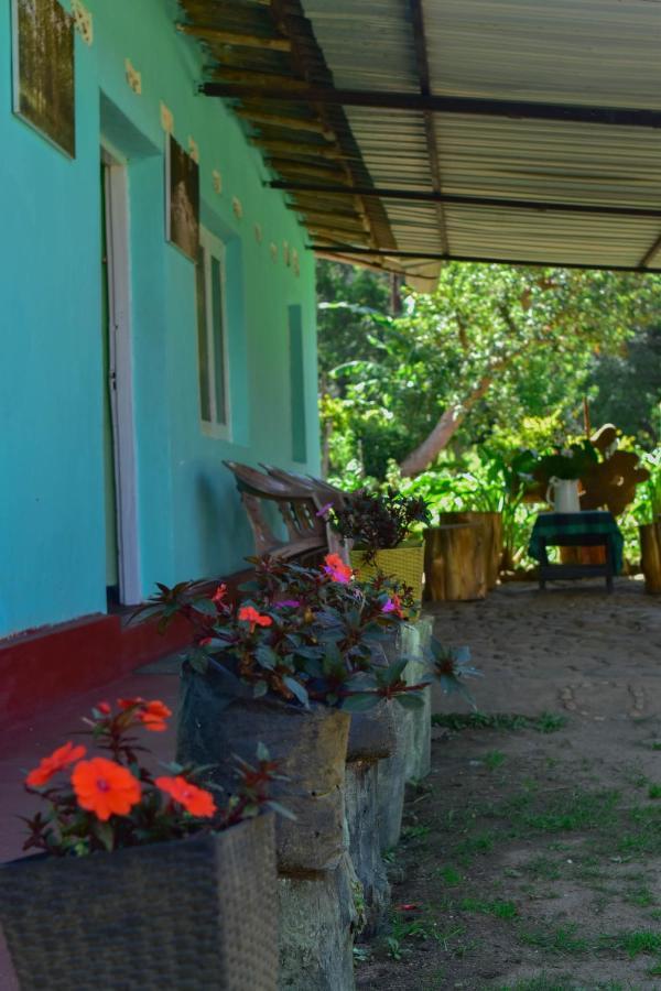 Ohiya Forest Lodge Exterior foto